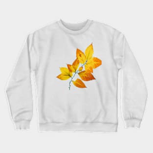 Maine Autumn Leaves Crewneck Sweatshirt